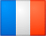 Translate Page To French